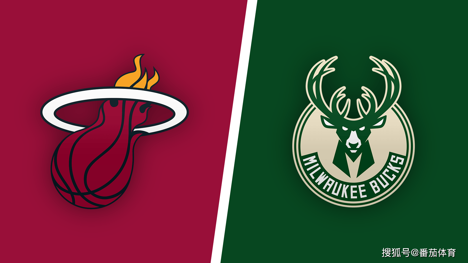 导的体系里 导的体系里